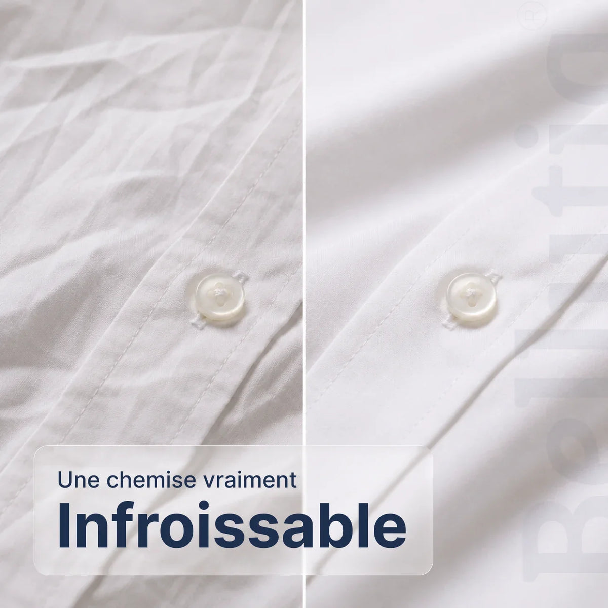 Chemise Ajustée à Manches Courtes